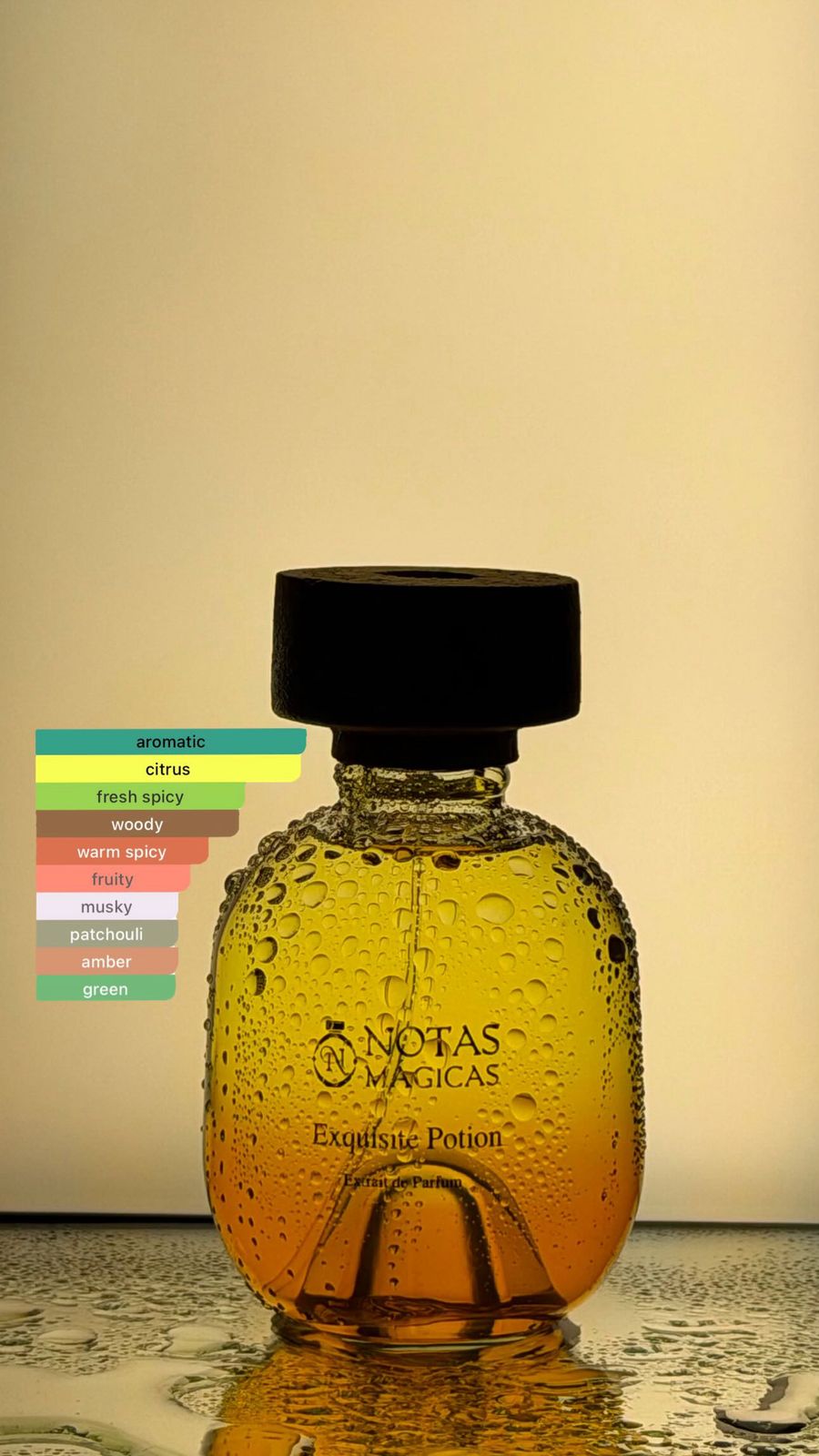 Exquisite Potion