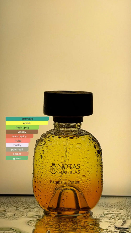 Exquisite Potion